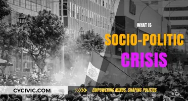 Understanding Socio-Political Crises: Causes, Impacts, and Global Implications
