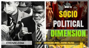 Understanding the Socio-Political Dimension: Power, Culture, and Society's Intersection