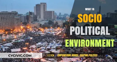 Understanding the Socio-Political Environment: Dynamics, Impact, and Influence
