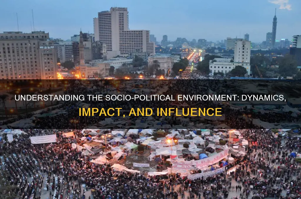 what is socio political environment