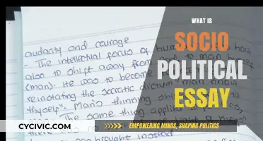 Understanding Socio-Political Essays: Structure, Purpose, and Impact Explained