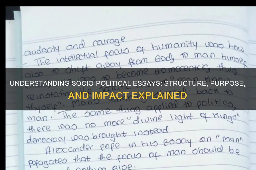 what is socio political essay