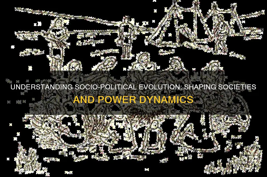 what is socio political evolution