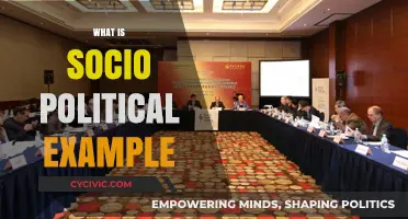 Understanding Socio-Political Dynamics: Real-World Examples and Their Impact