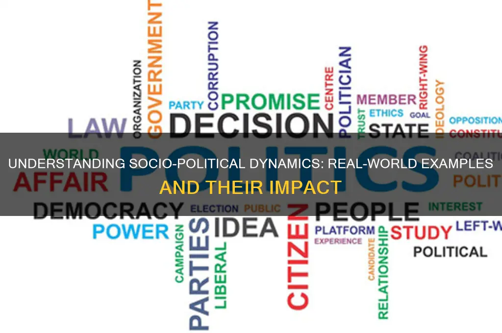 what is socio political example