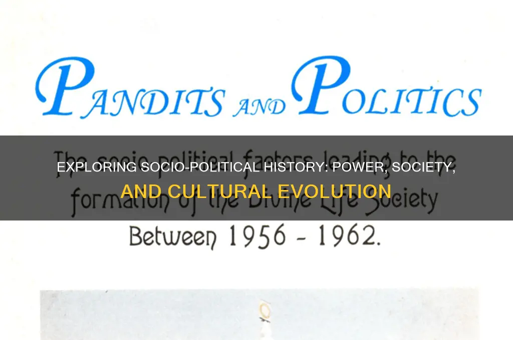 what is socio political history