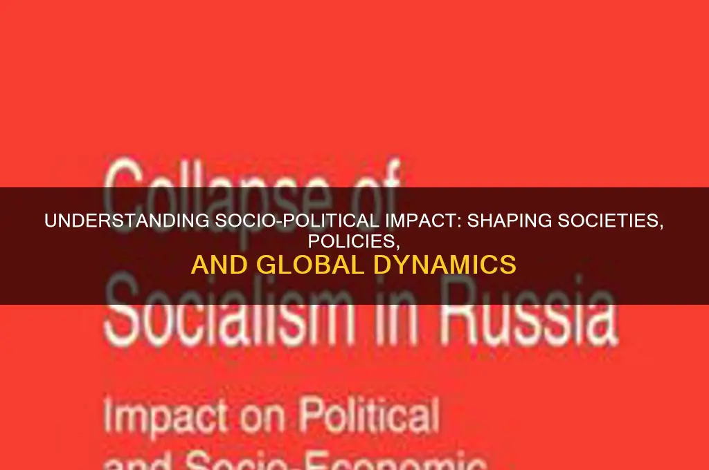 what is socio political impact