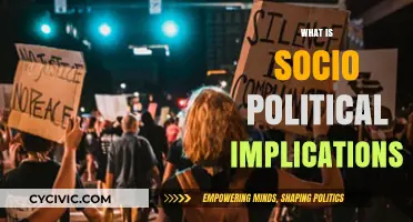 Understanding Socio-Political Implications: Impact on Society and Governance Explained