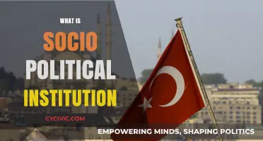 Understanding Socio-Political Institutions: Roles, Impact, and Influence Explained