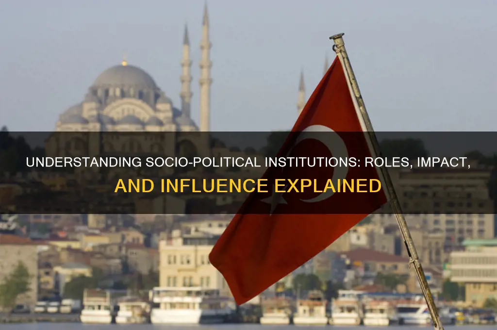 what is socio political institution