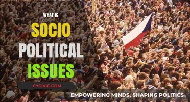 Understanding Socio-Political Issues: Causes, Impacts, and Solutions Explained