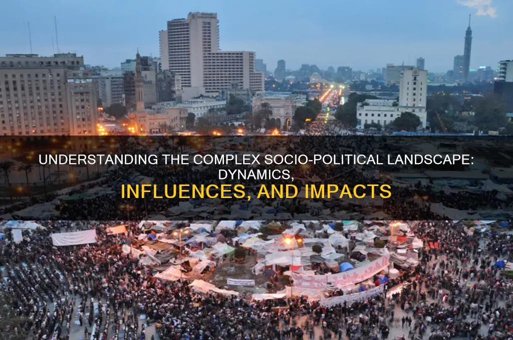 what is socio political landscape