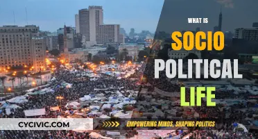 Understanding Socio-Political Life: Dynamics, Influences, and Everyday Impact