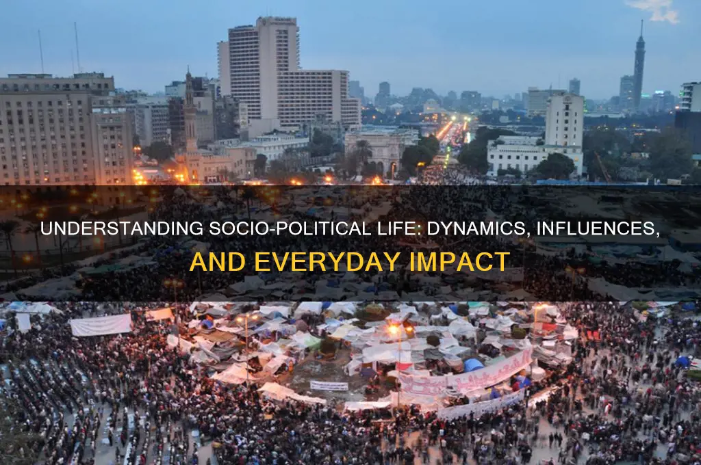 what is socio political life