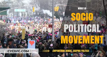 Understanding Socio-Political Movements: Drivers, Impact, and Global Influence