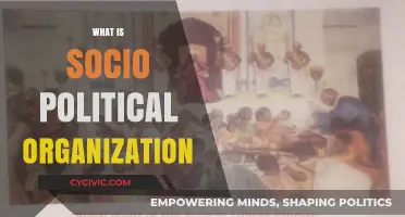Understanding Socio-Political Organization: Structures, Power, and Social Dynamics Explained