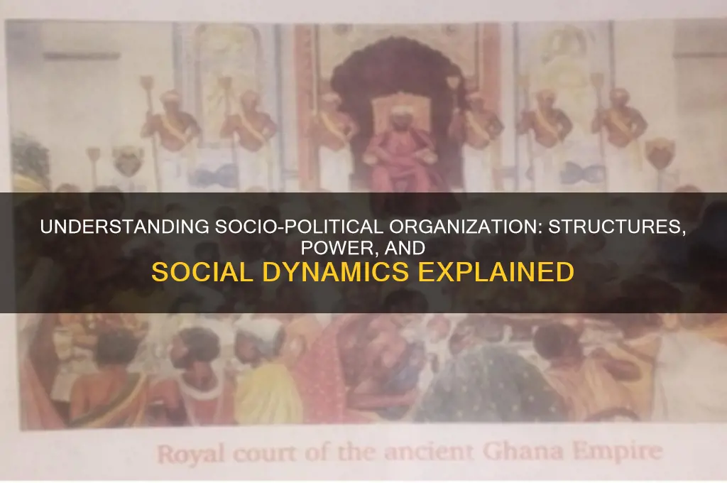 what is socio political organization