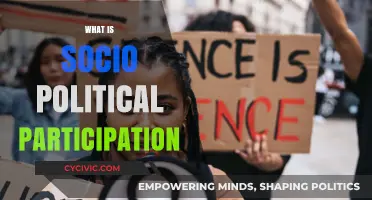 Understanding Socio-Political Participation: Engagement, Influence, and Civic Responsibility