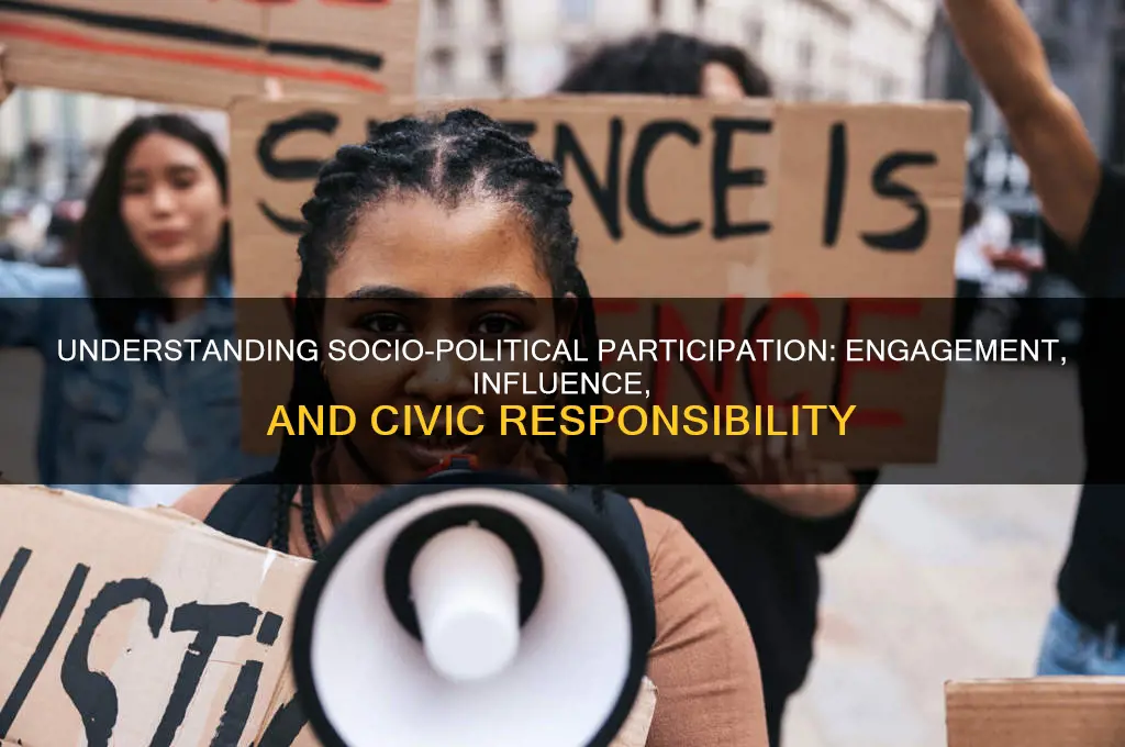 what is socio political participation