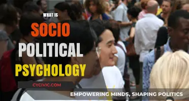 Understanding Socio-Political Psychology: Power, Identity, and Social Change Explained