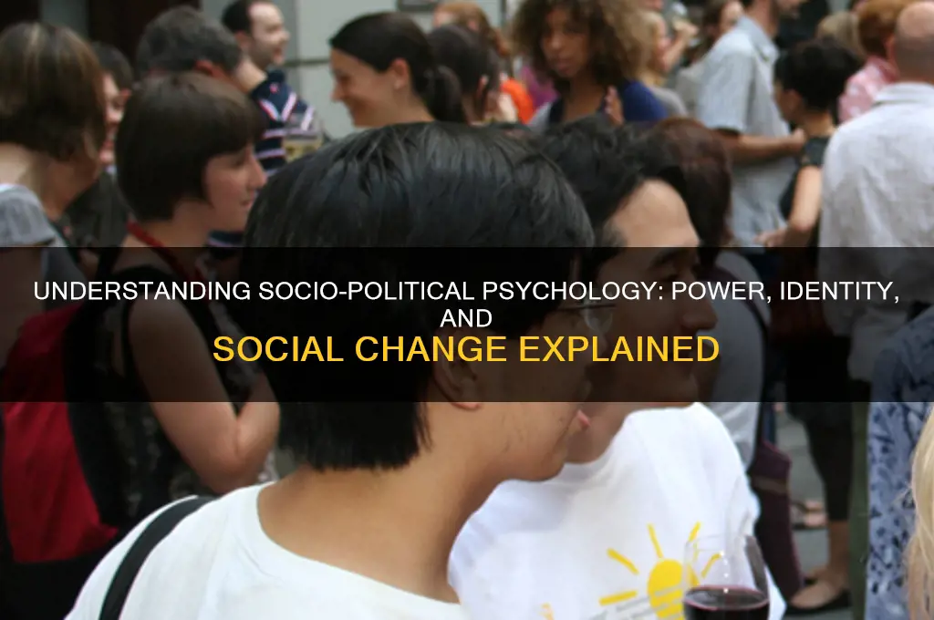 what is socio political psychology