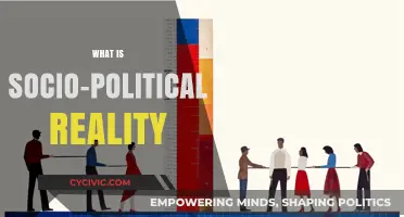 Understanding Socio-Political Reality: Power, Culture, and Society's Interplay