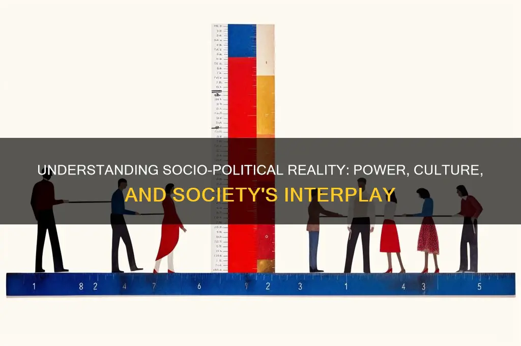 what is socio-political reality