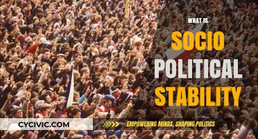 Understanding Socio-Political Stability: Foundations, Impacts, and Global Significance