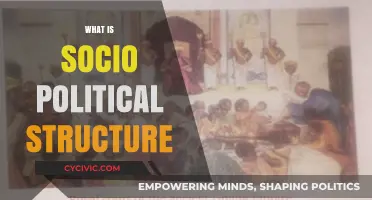 Understanding Socio-Political Structures: Power, Institutions, and Social Dynamics Explained