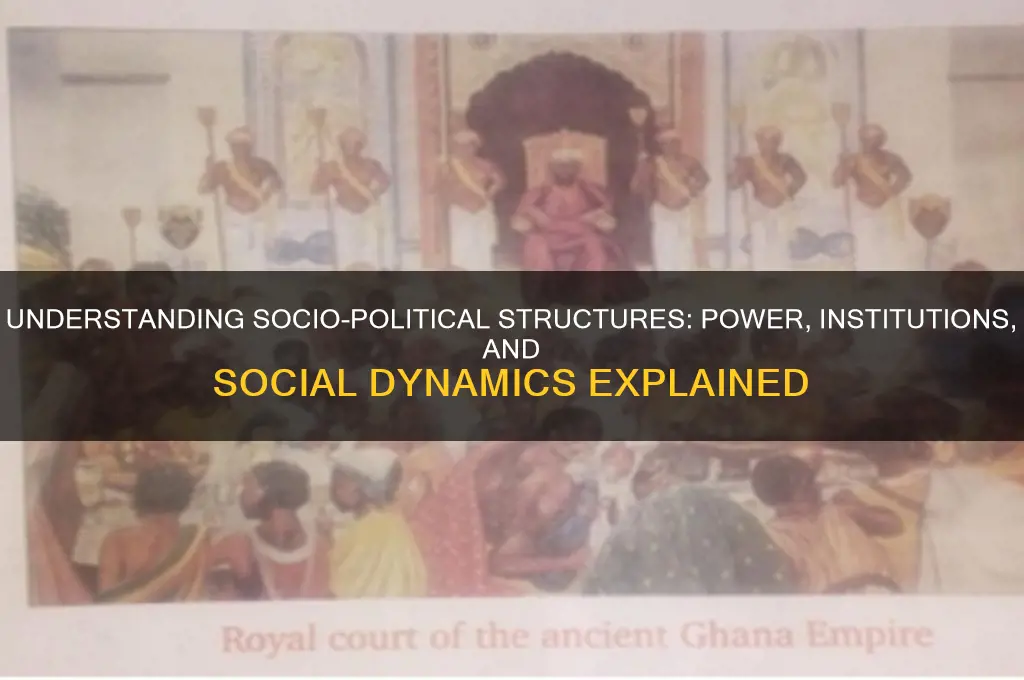 what is socio political structure