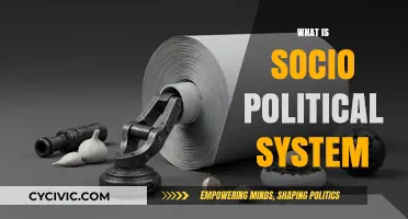 Exploring the Dynamics of Socio-Political Systems: A Comprehensive Guide