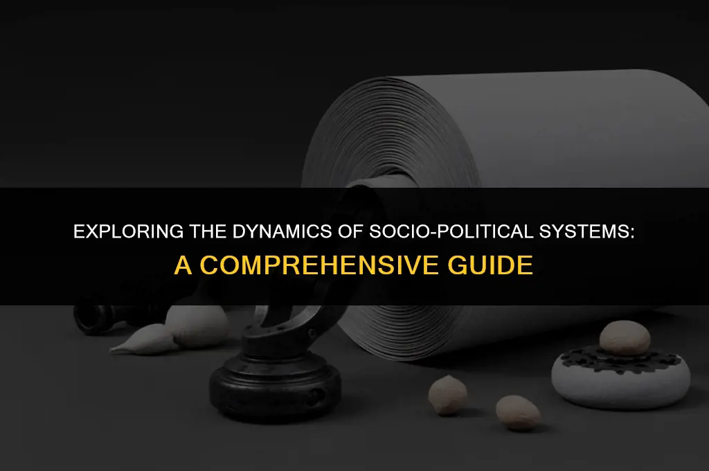 what is socio political system