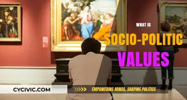 Understanding Socio-Political Values: Foundations, Impact, and Cultural Significance