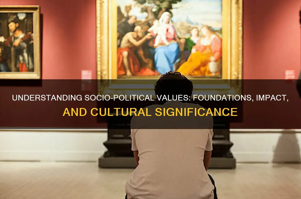 what is socio-political values