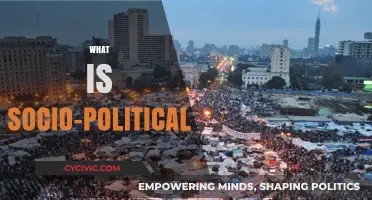Understanding Socio-Political Dynamics: Power, Society, and Governance Explained