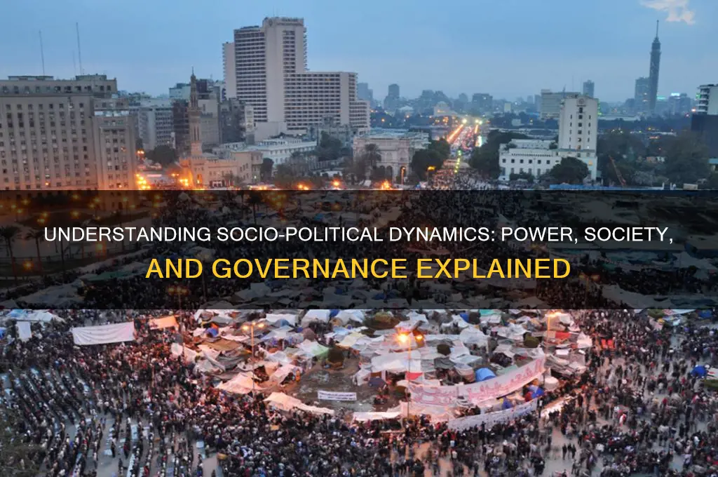 what is socio-political