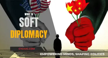 Soft Diplomacy: A Gentle Art of Persuasion