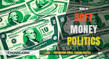 Understanding Soft Money: Its Role and Impact in Modern Politics