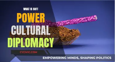 Soft Power, Hard Impact: Cultural Diplomacy Explained