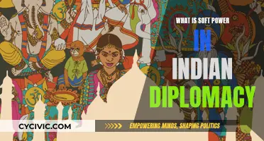 Soft Power: India's Diplomatic Strength and Strategy
