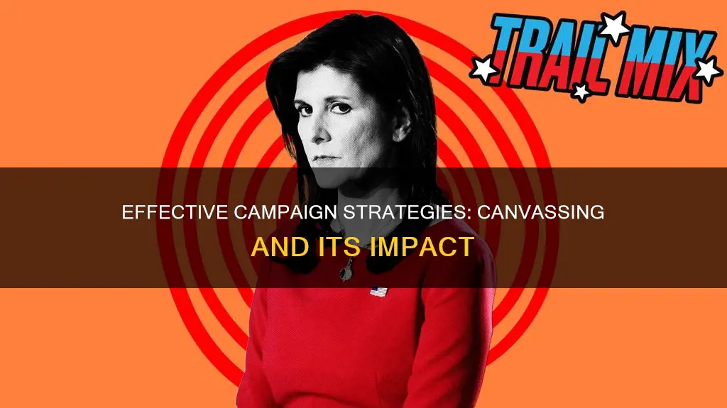 what is something a person might do while campaigning