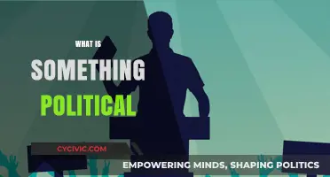 Understanding the Essence: What Constitutes Something Political in Society