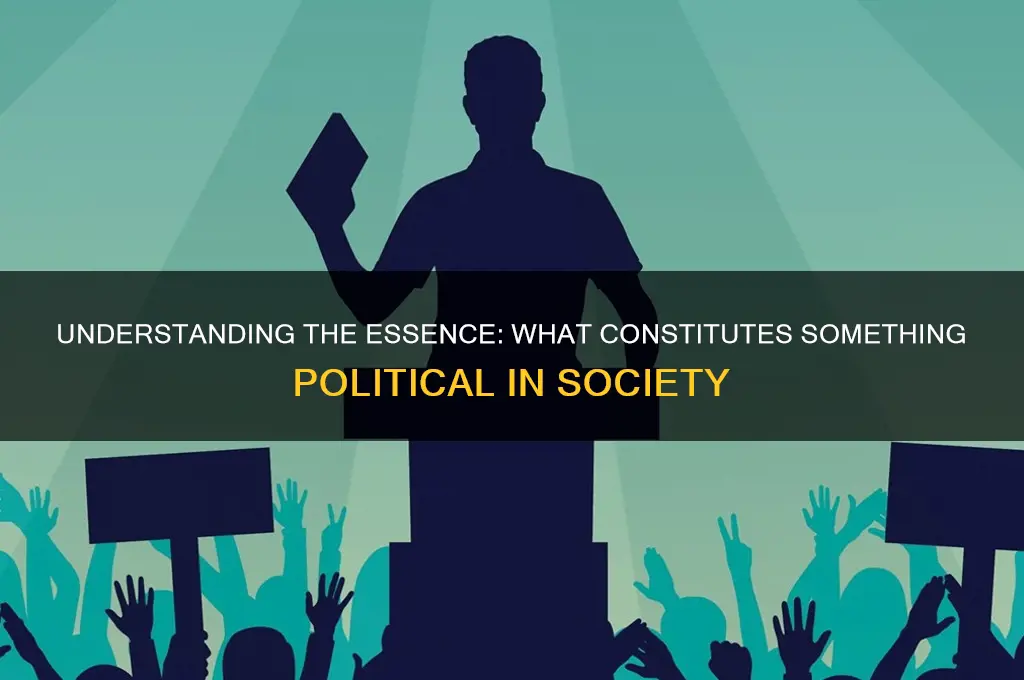 what is something political