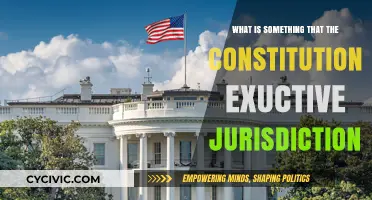 The Constitution's Executive Jurisdiction: What Powers?