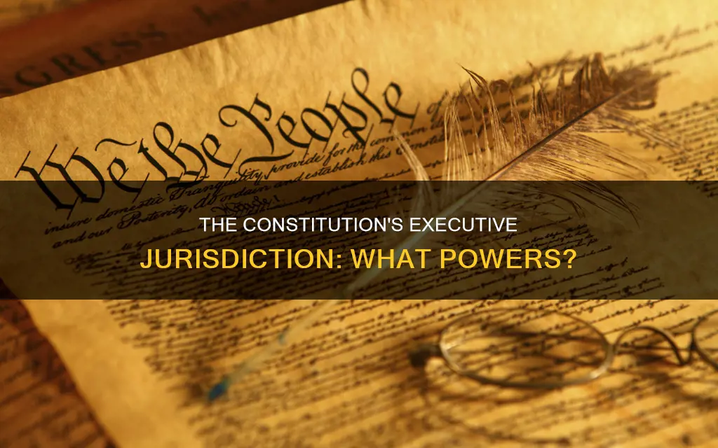 what is something that the constitution exuctive jurisdiction