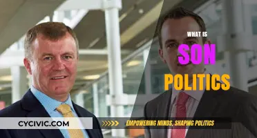 Understanding Son Politics: Power Dynamics and Family Influence Explained