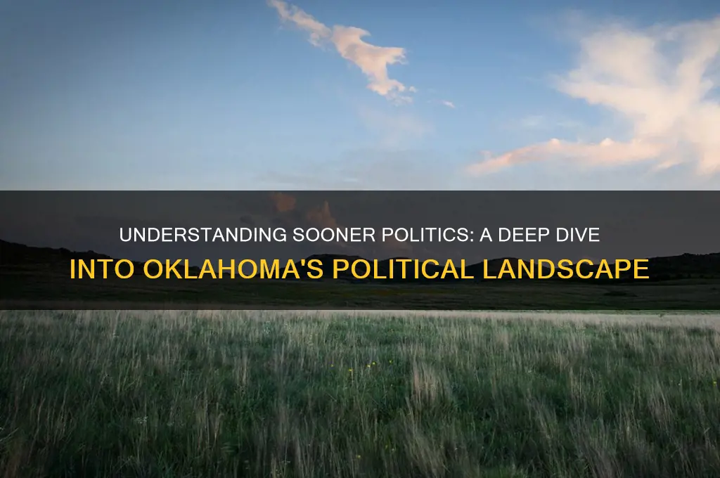 what is sooner politics