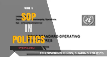 Understanding SOP: Political Strategies, Operations, and Protocols Explained