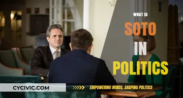 Understanding Soto's Political Impact: A Comprehensive Guide to His Influence