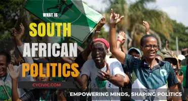 Understanding South African Politics: History, Key Players, and Current Issues